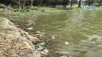 DƬ
